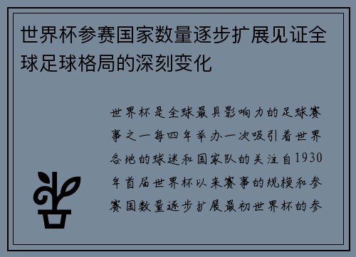 世界杯参赛国家数量逐步扩展见证全球足球格局的深刻变化