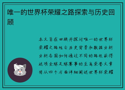 唯一的世界杯荣耀之路探索与历史回顾